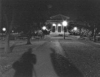 night_scene2b.jpg (6847 bytes)